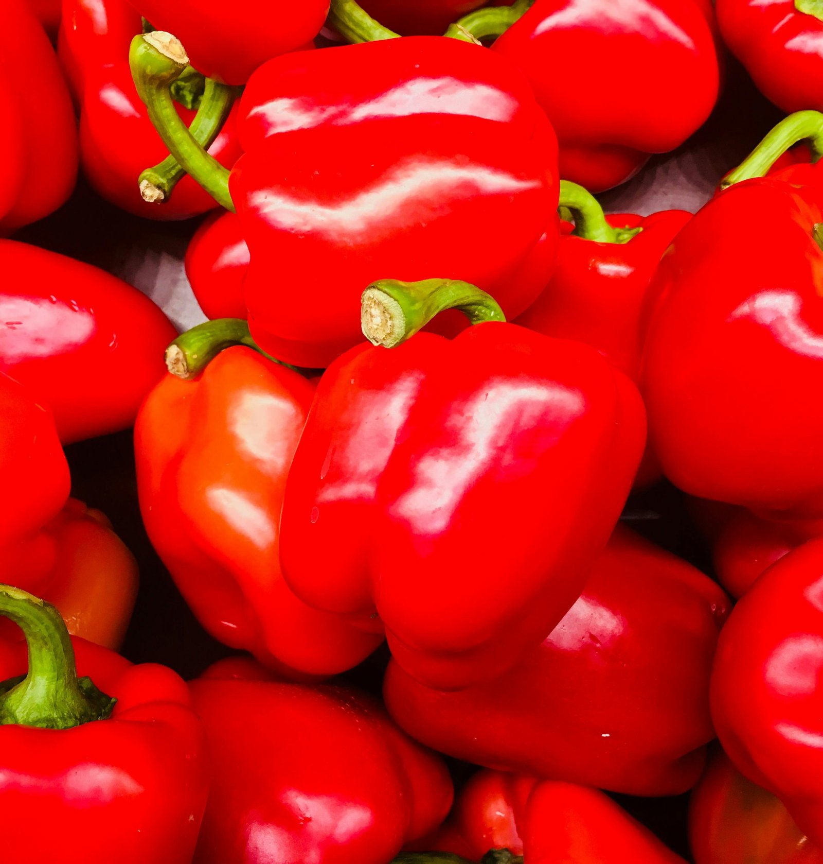 Bell Pepper Red