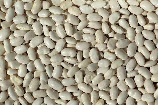 Beans, cannellini, canned, sodium added, drained and rinsed