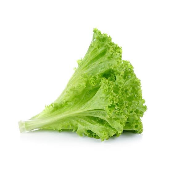 Lettuce, leaf, green, raw