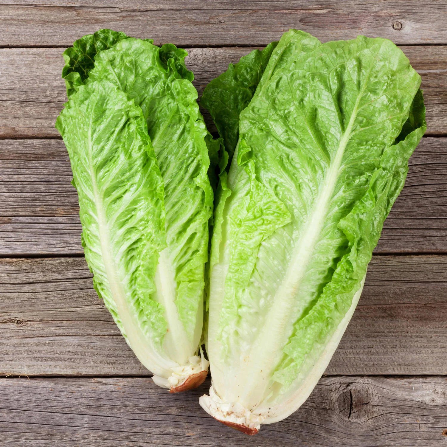 Lettuce, romaine, green, raw