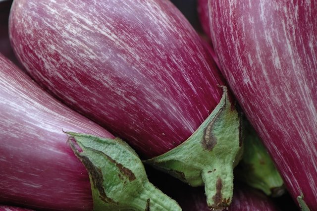 Eggplant, raw
